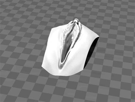 Vagina 3d Model In Other 3dexport