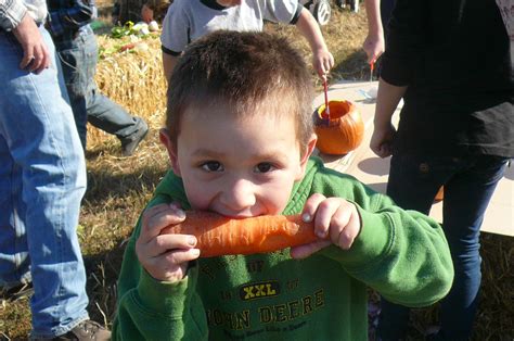 kid eating carrot recipes  nashs organic produce