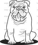 Bulldogs Kleurplaat Desenhar Makkelijk Bulldogge Getdrawings Hond Te Heartland Nasz Ingles Hund Anglais sketch template