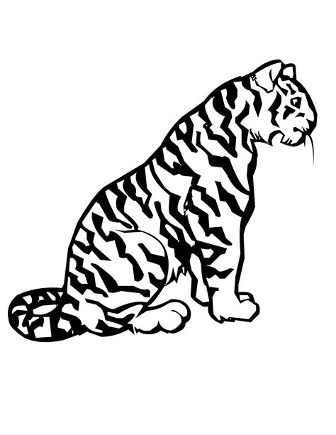 big cat coloring pages coloring kids