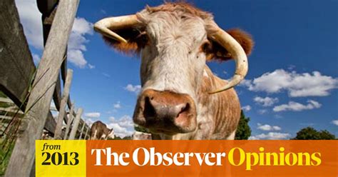 Should We All Eat Less Meat Food The Guardian