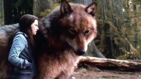 Twilight Eclipse Bella Swan Talks To A Massive Wolf For The First