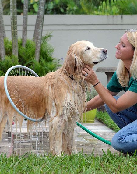 dog washer