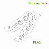 Peas Illustratio Drawn sketch template