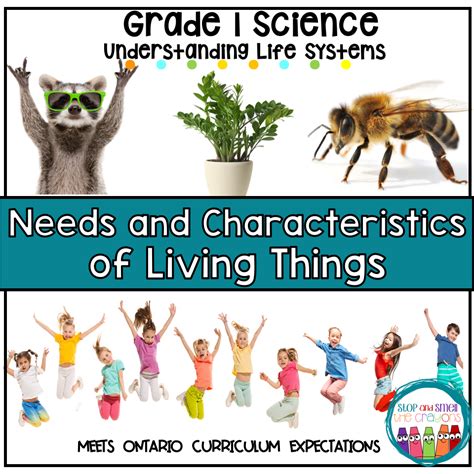 characteristics  living  grade  science