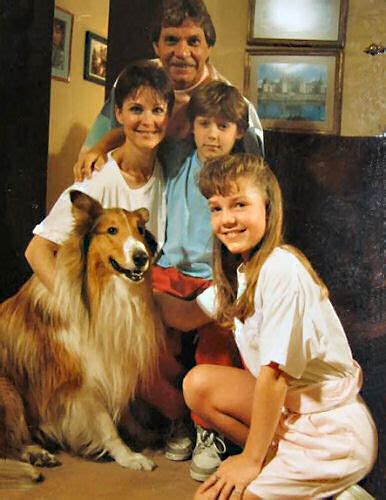 the new lassie alchetron the free social encyclopedia