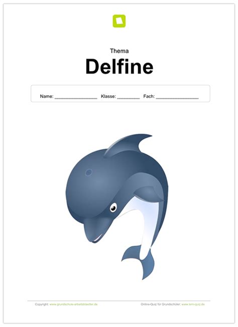 ein kostenloses deckblatt zum thema delfine sofern die