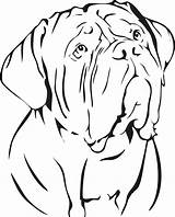 Mastiff Bordeaux Dogue French Drawing Dog Sticker Car Decal Clipartmag Stickers Ebay Decals Truck sketch template