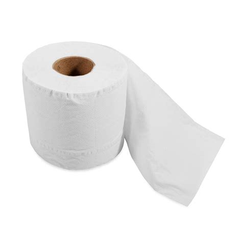 Tst 2 Ply Toilet Paper Individual Roll 400 Sheets