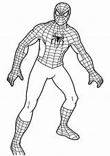 Pages Spider Coloring Avengers Man Spiderman Boys Kids Members Team Online Color Print Superhero Coloringpagesonly Choose Board Toddler Wonderful sketch template
