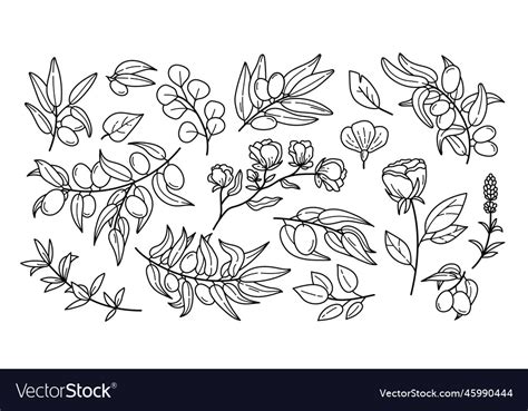 simple flower tattoo outline plants wild botanic vector image
