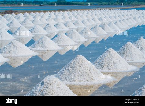 heap  sea salt  original salt produce farm   natural ocean salty water preparing