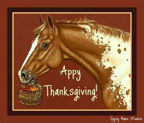 appy thanksgiving horse meme horses horse quotes