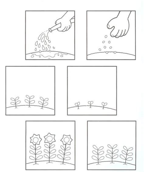 learn  growing plants coloring page coloring sky