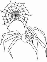 Spider Bitsy Itsy sketch template