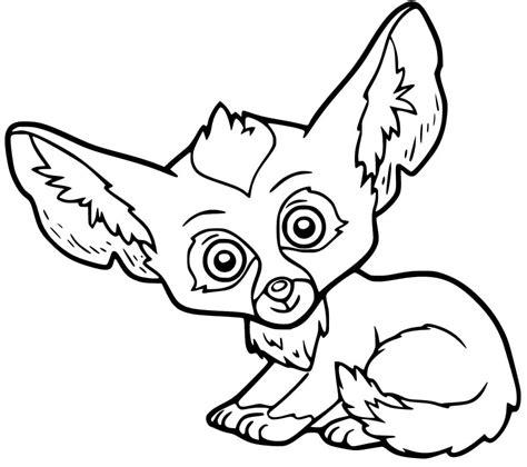 cute baby fennec fox coloring page  printable coloring pages  kids