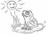 Frog Pages Colorat Lac Broscuta Grenouille Animaux Frosch Ausmalbilder Coloriage Toad Lakes Broscute Sfatulmamicilor Coloringtop Trippy Plansa Coloriages Coloringhome ähnliche sketch template