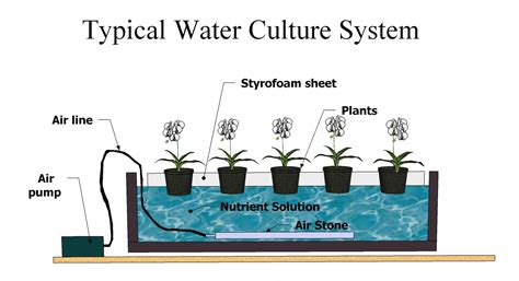 build   hydroponics water culture system