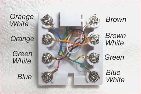 cat  wall plate wiring