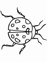 Coloring Pages Insects Primarygames Bug Insect Gif Science sketch template