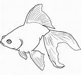 Pesci Pesce Stampare Lunga Coda sketch template