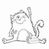 Cat Coloring Pages Books Printable Print sketch template