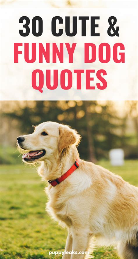 cute funny dog quotes puppy leaks