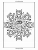 Coloring Mandala Pages Amazon Pattern Intricate Owls Mandalas Books Color sketch template