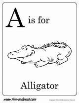 Alligator Letter Coloring Timvandevall Printable Alphabet Template Worksheets Starts Pages Kids Preschool Letters Printables Tracing Book Else But Handwriting sketch template