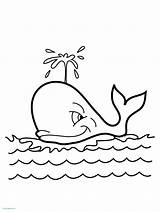 Whale Killer Outline Coloring Drawing Pages Getdrawings sketch template