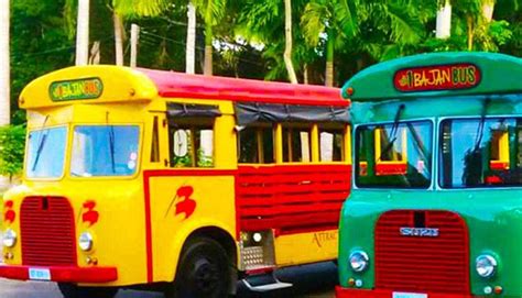 Catch The 1 Bajan Bus Tour To Explore The Caribbean Island