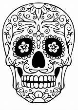 Simple Coloring Skulls Drawings Template Skull Sugar Pages Printable sketch template