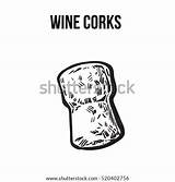 Cork Wine Background Bottle Plug Vector Isolated Champagne Sketch Traditional Illustration Style Shutterstock Corks Drawn Tree Hand Made sketch template