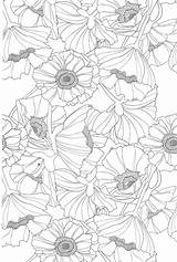 Coloriage Relaxation Adulte Bestcoloringpagesforkids Detailed Coloriages sketch template