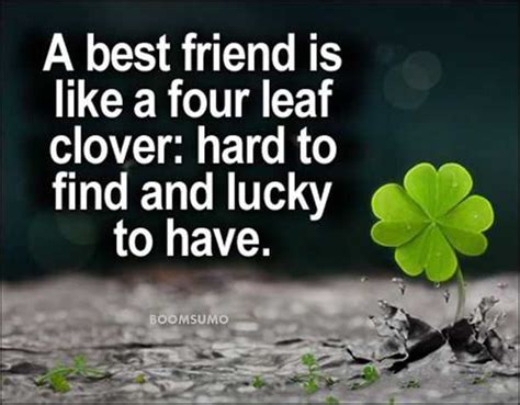 Best Friends Forever Quotes About Four Leaf Cute Friend