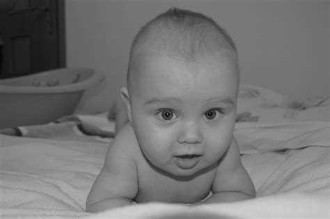 royalty  photo grayscale photography  baby pickpik