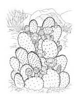 Coloring Pages Cactus Desert Plants Supercoloring Prickly Pear Printable Dibujo Para Guardado Desde Colorear sketch template