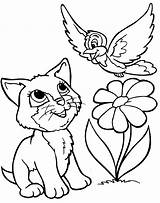 Coloring Kitten Pages Cat Getcolorings sketch template