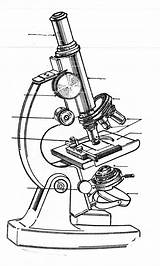Microscopio Optico Monocular Esquema sketch template