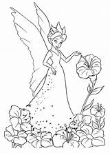 Fairy Coloring Pages Printable Flower Land Dragon Wonder sketch template