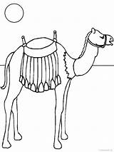 Camel Coloring Pages Preschool Students sketch template