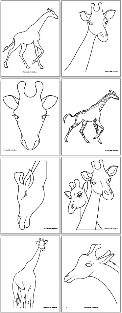 printable giraffe outlines  perfect    preschool