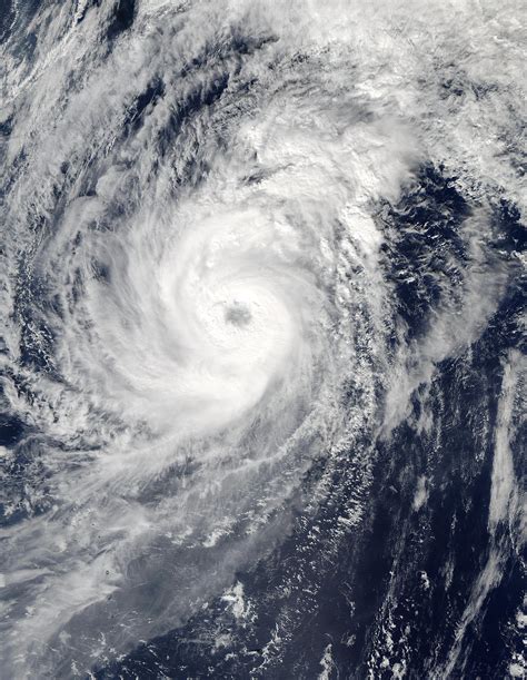 typhoon parma natural hazards