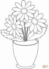 Colorare Vaso Flowers Disegni Camomilla sketch template