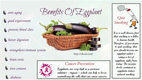 list of 31 benefits of eggplant