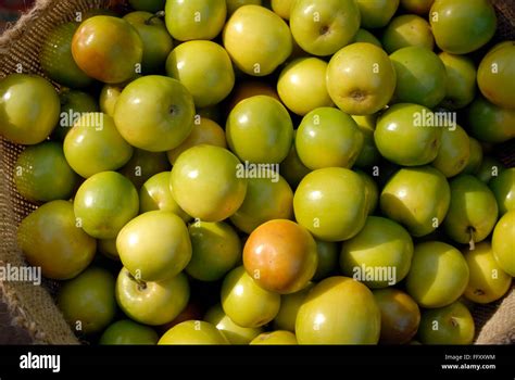 ber fruit  res stock photography  images alamy