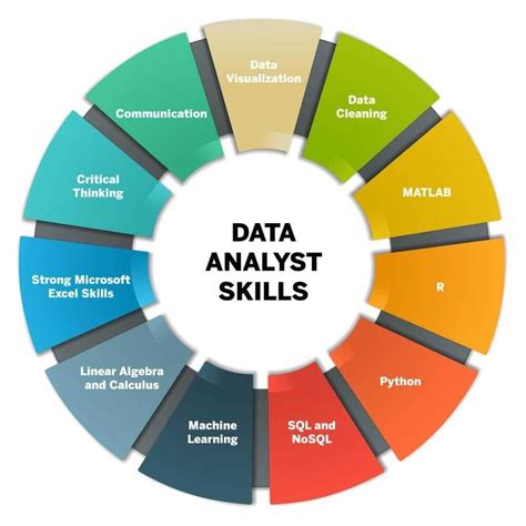 data analyst skills path  skills     quadexcel