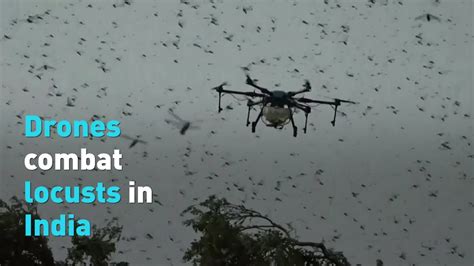 drones combat locusts  india youtube