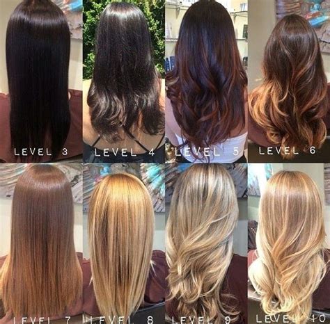 level  hair color chart part tscoreks org   tips  formulas    profitable
