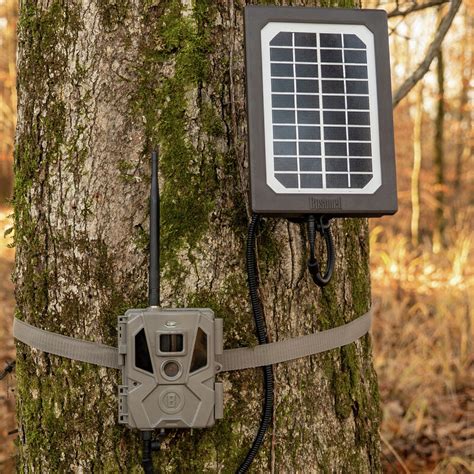 buy trail camera solar panel   bushnell